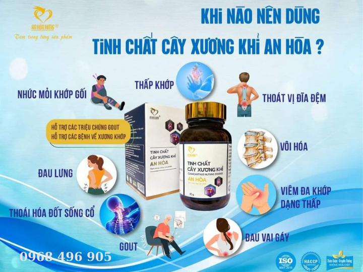 Những triệu chứng bạn nên sử dụng ngay Tinh chất cây xương khỉ An Hòa